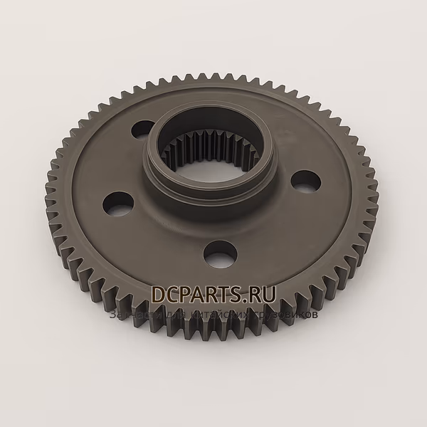 SHAANXI FAST GEAR Шестерня ретардера 12JSD200T-1707022-4